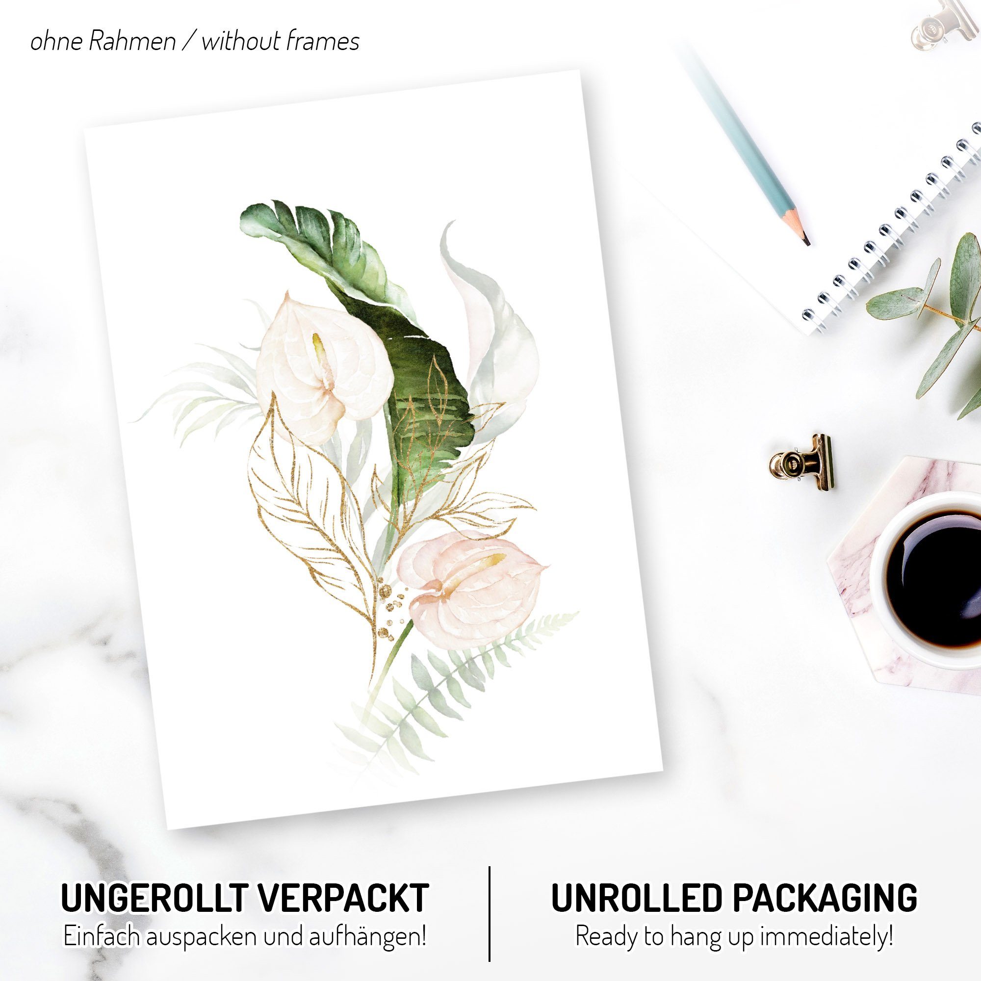 Kreative Feder Poster Weiße Orchideen, Blumen günstig online kaufen