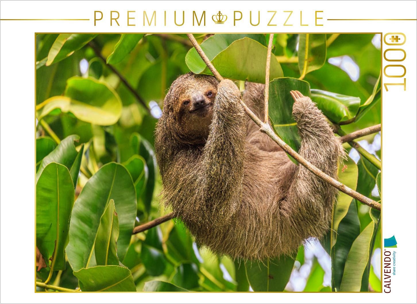 CALVENDO Puzzle CALVENDO Puzzle Dreifinger-Faultier, 1000 Teile Lege-Größe 64x48cm Fo, 1000 Puzzleteile