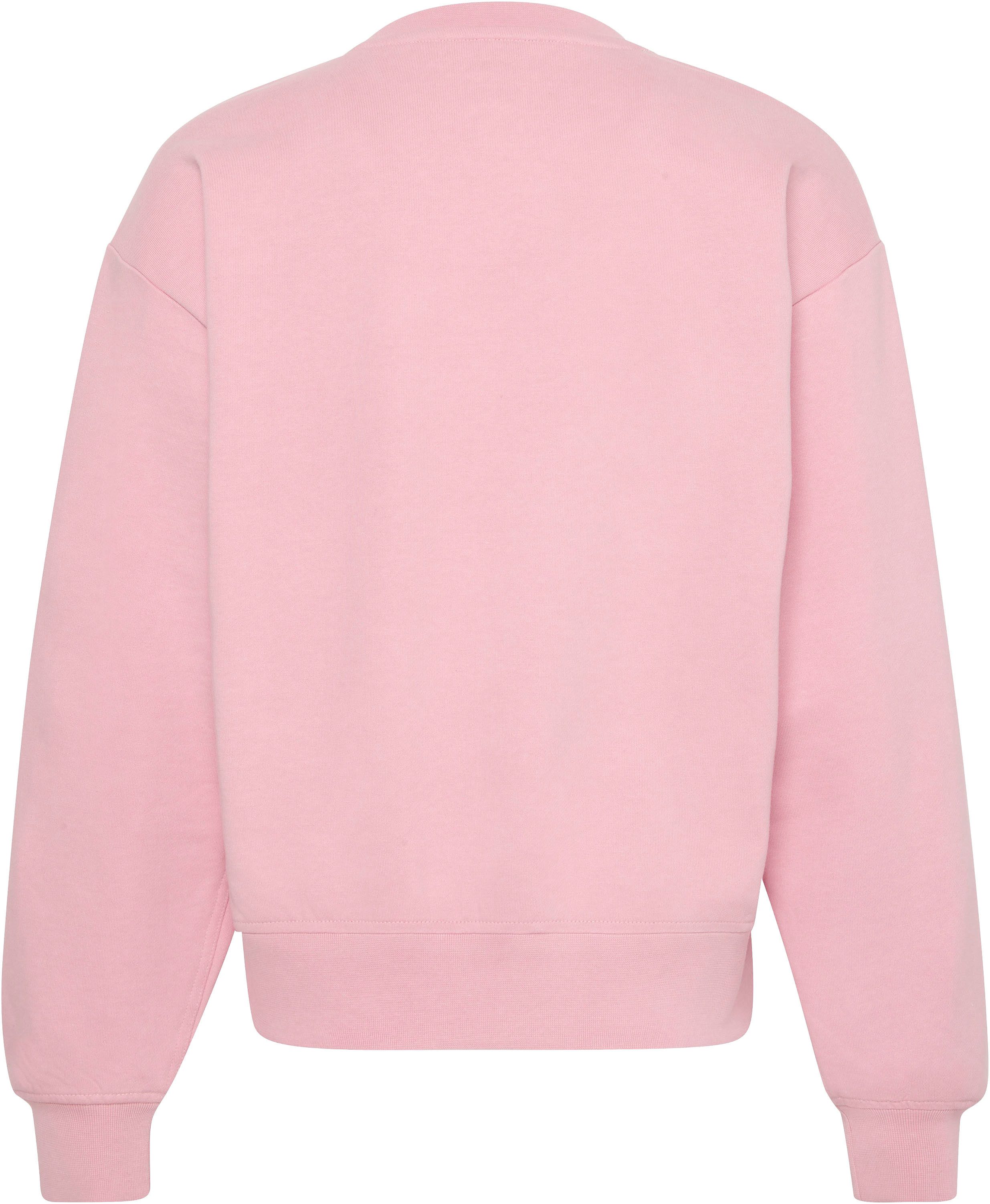 Calvin Klein Jeans Sweatshirt LS MONOLOGO FRENCH TERRY RLXD CR, Logoschriftzug