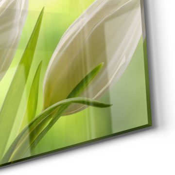 DEQORI Glasbild 'Schneeweiße Tulpen', 'Schneeweiße Tulpen', Glas Wandbild Bild schwebend modern