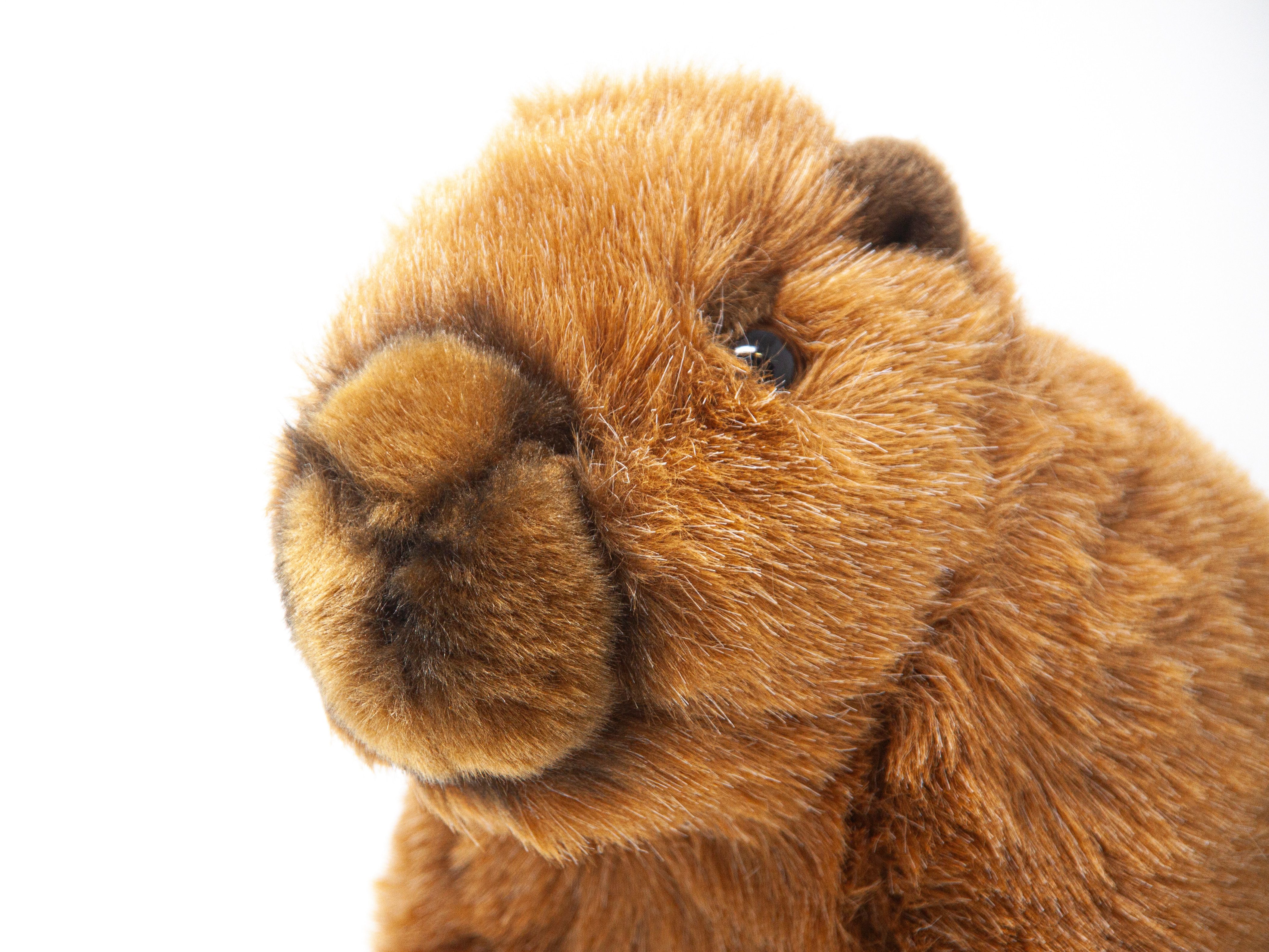 Nature Planet Kuscheltier Nature Planet - Kuscheltier - Plan L - Capybara