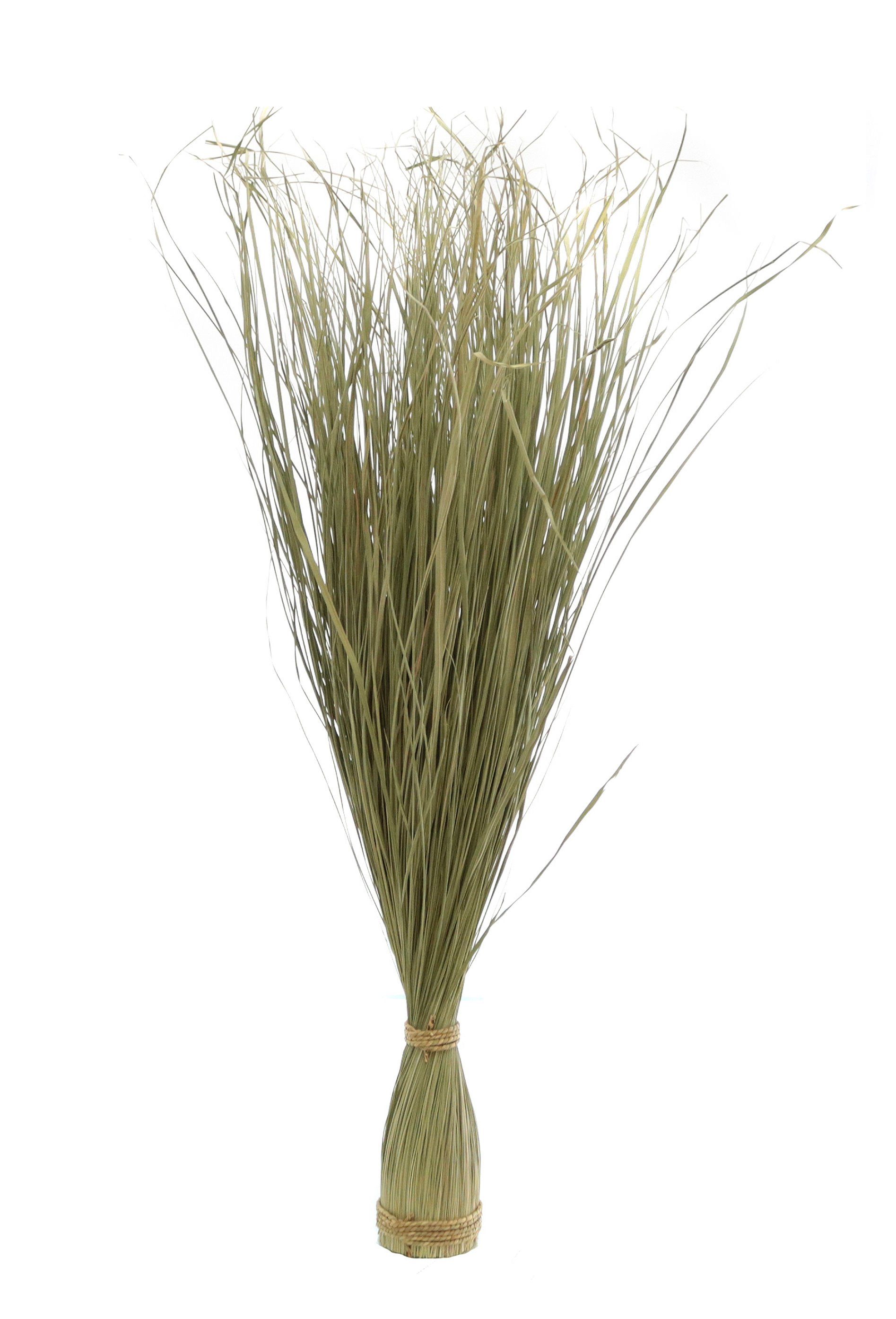 105 cm, cm 105.00 Höhe Blutgras natur Gras Standfuß künstliches Kunstpflanze Spetebo, verblichen, - auf Japanisches