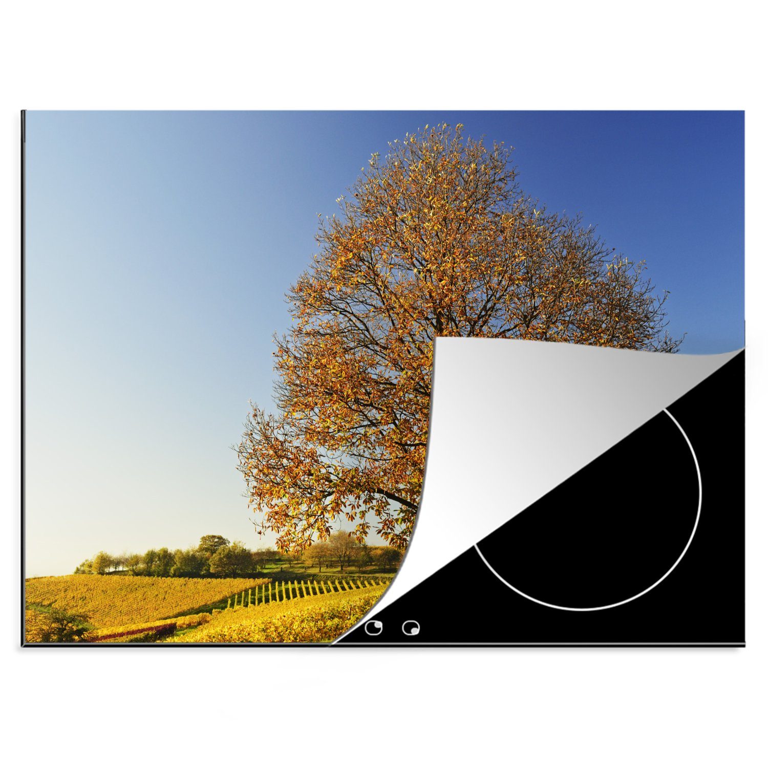 MuchoWow Herdblende-/Abdeckplatte Kastanienbaum in einer Weinberglandschaft, Vinyl, (1 tlg), 70x52 cm, Mobile Arbeitsfläche nutzbar, Ceranfeldabdeckung