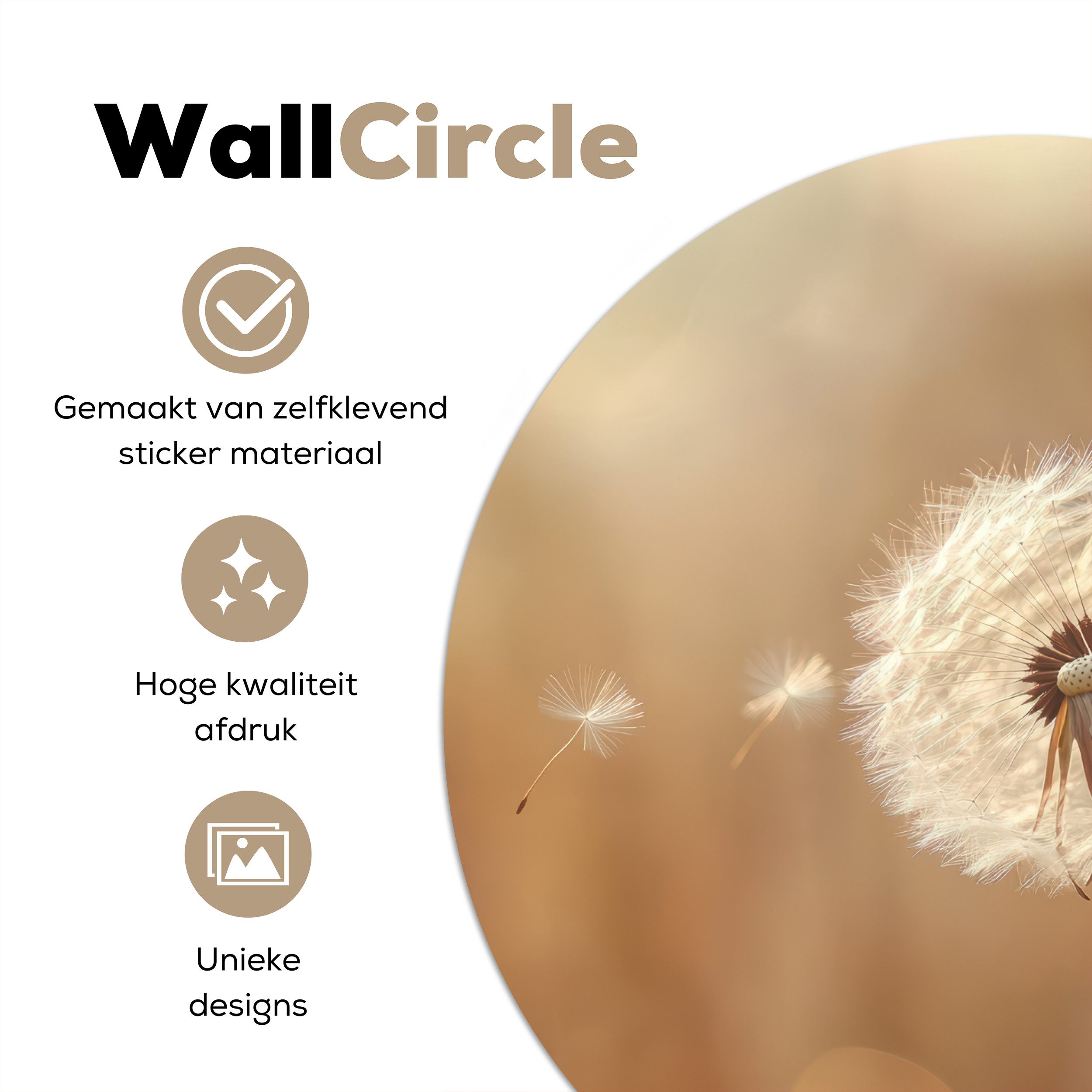 MuchoWow Wandsticker Löwenzahn - Beige - günstig online kaufen