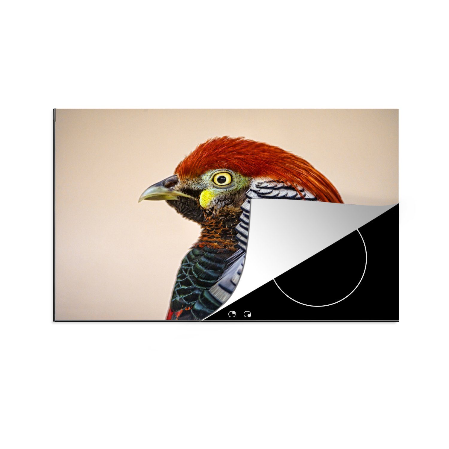 MuchoWow Herdblende-/Abdeckplatte Fasan - Porträt - Vogel, Vinyl, (1 tlg), 81x52 cm, Induktionskochfeld Schutz für die küche, Ceranfeldabdeckung