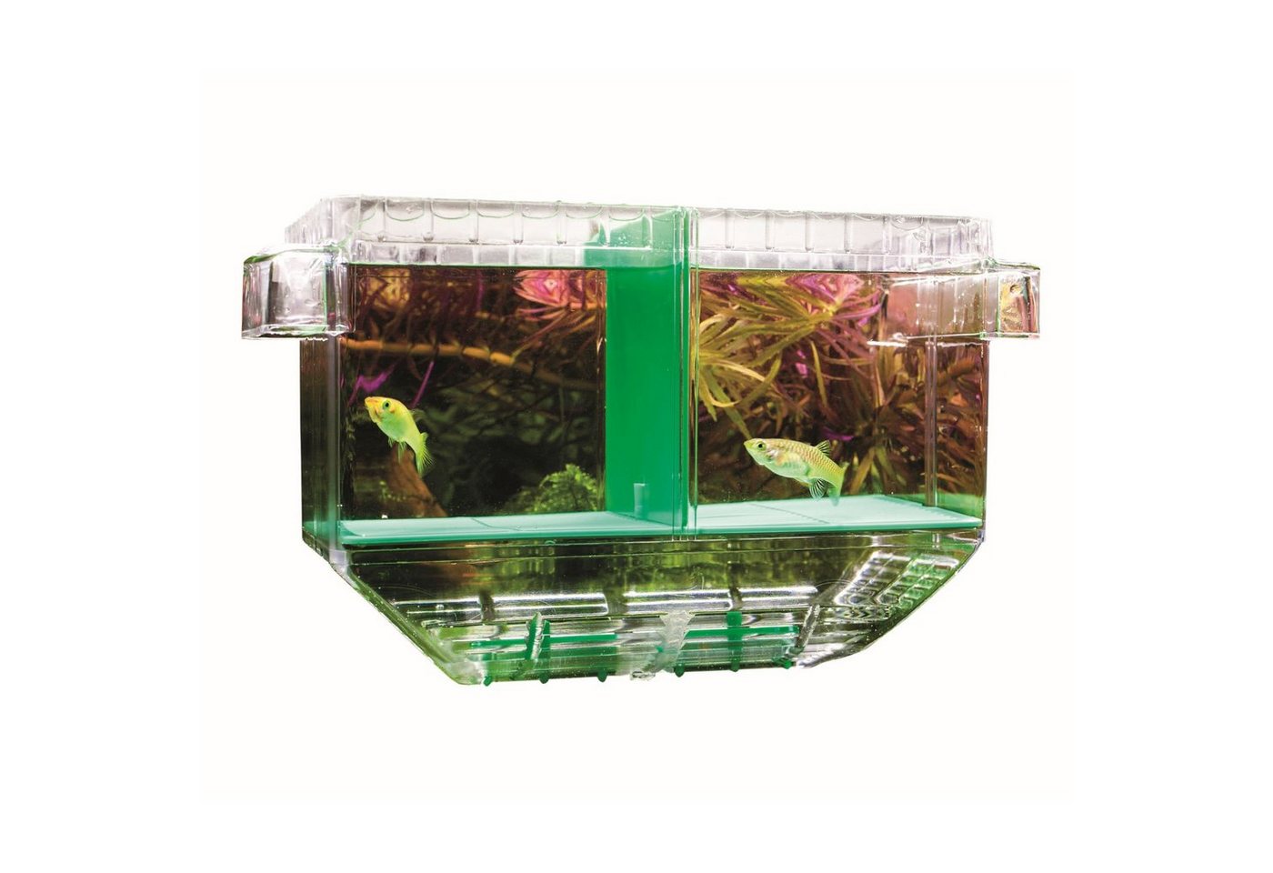 Thumbnail - HOBBY Aquarium Nido I, Ablaichbehälter