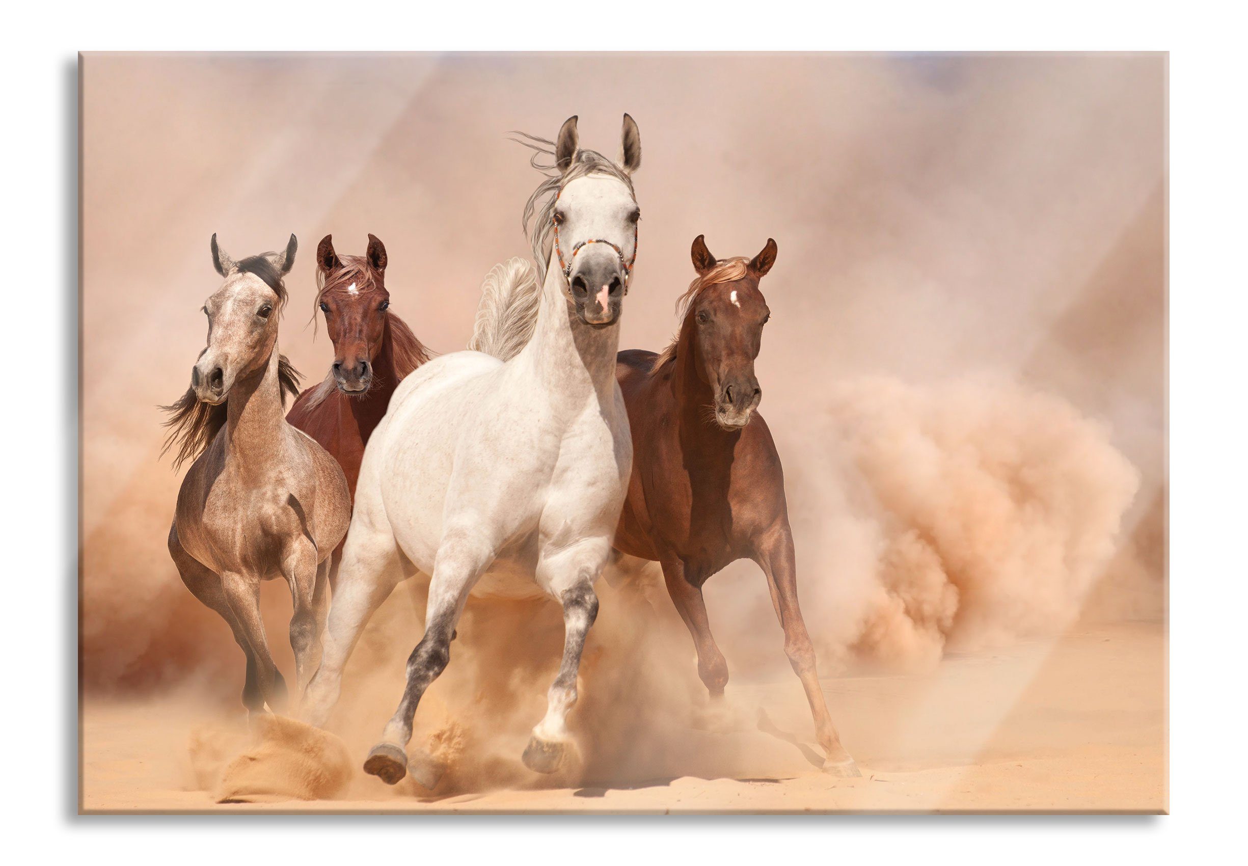 in Echtglas, inkl. aus (1 und Abstandshalter Glasbild in Western Western Wüste Pferde Aufhängungen Pixxprint St), Pferde Glasbild Wüste,