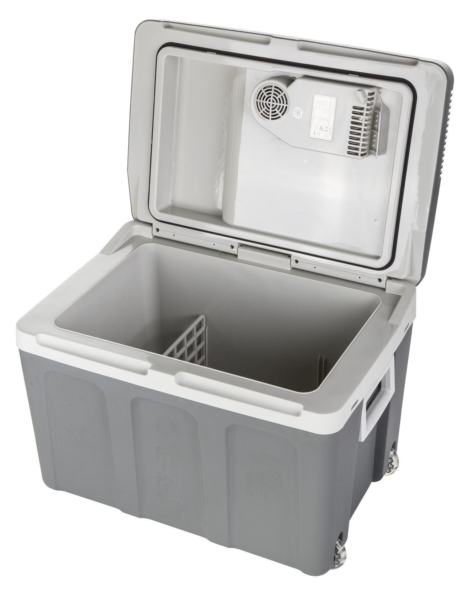 Camry Kühlbox CR 8061, mit Kühl- und Wärmefunktion, 40 L