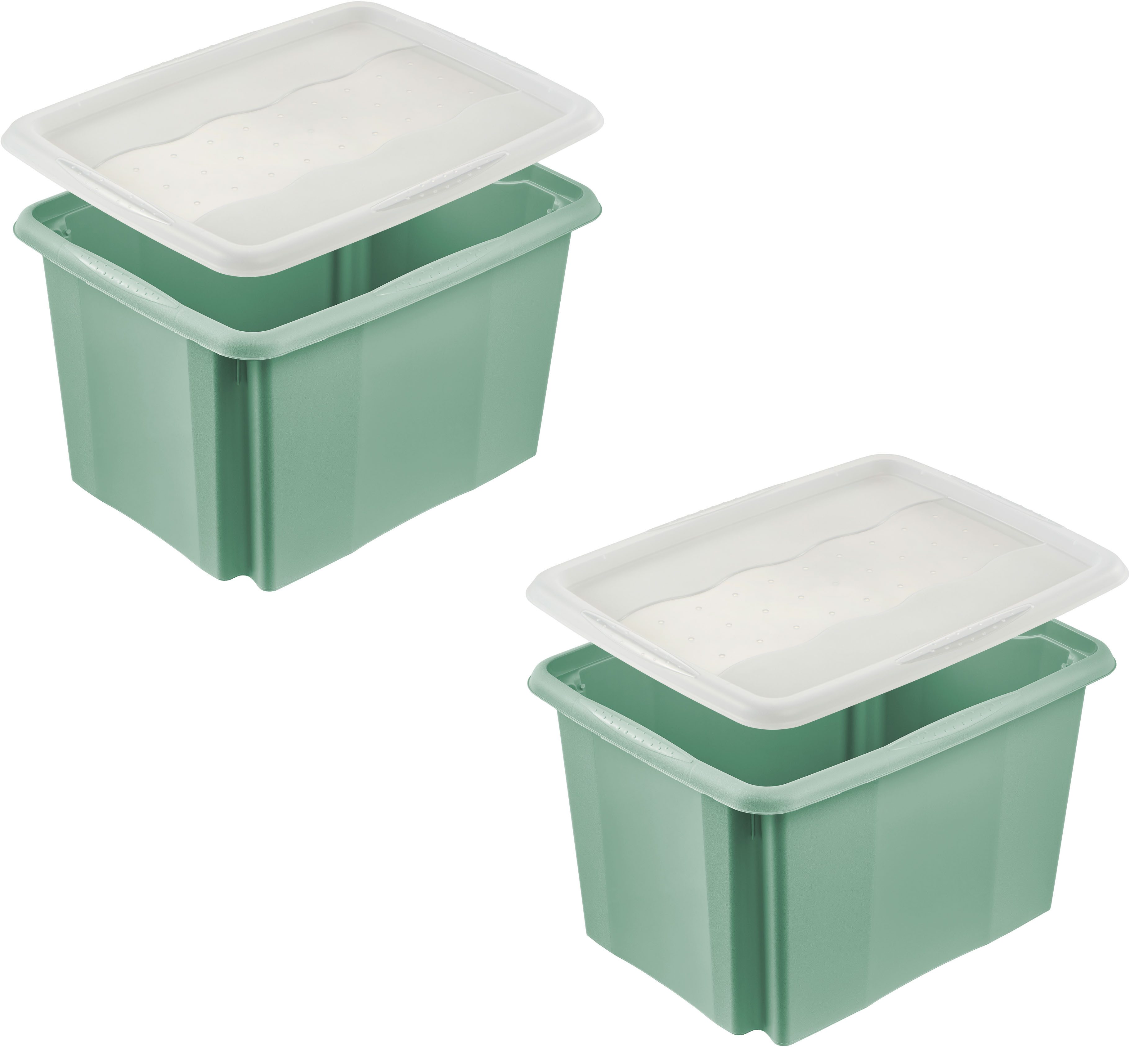 Aufbewahrungsbox Emil, Box mit Deckel, 2er Set, 30 L, 45 x 35 x 27 cm