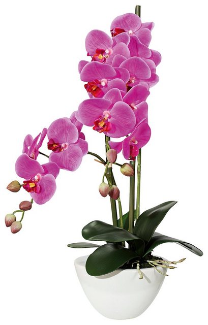 Kunstpflanze »Orchidee« Orchidee, Creativ green, Höhe 50 cm-Otto