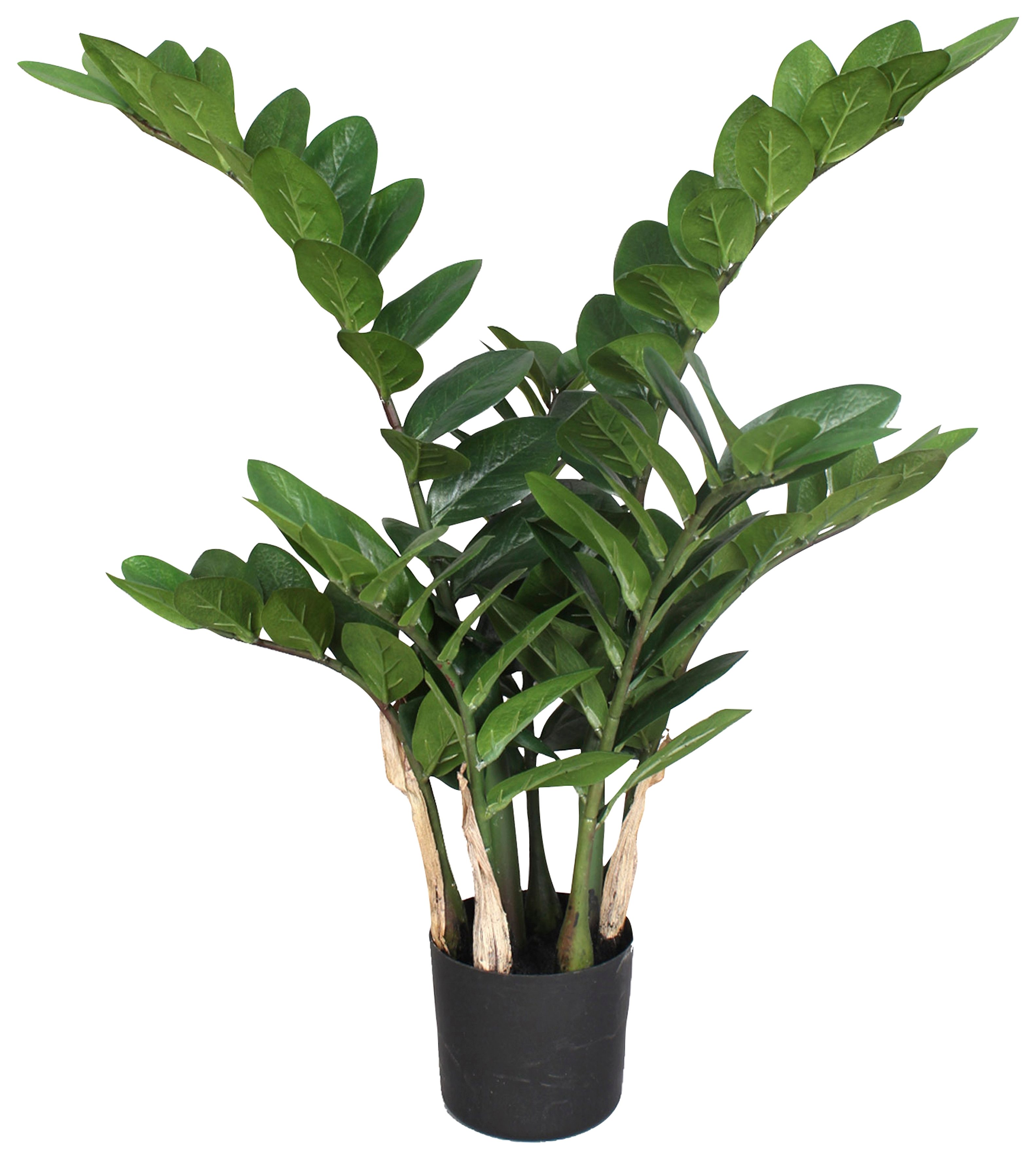 Kunstpflanze »Zamifolia«, Creativ green, Höhe 70 cm-Otto