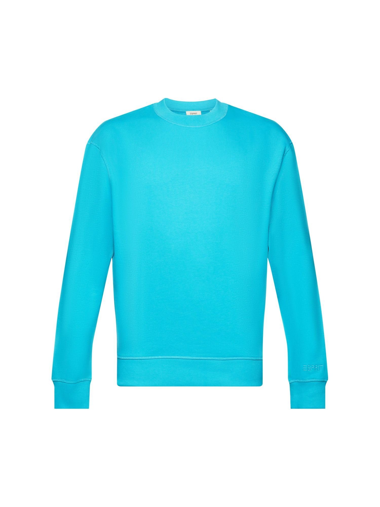 Esprit Sweatshirt Sweatshirt mit Logostickerei auf dem Ärmel (1-tlg) AQUA GREEN
