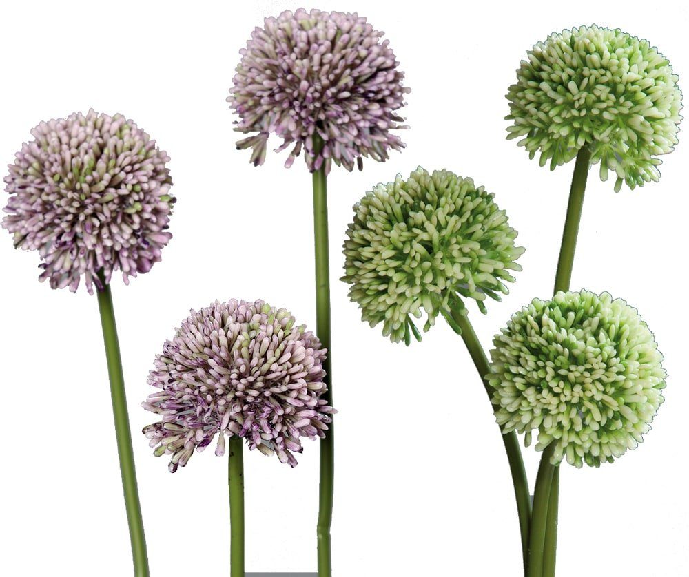 Kunstblume Lauch Blüten 46 Bund matches21 Blüten, Kunstpflanzen 3er cm Lauch Höhe 46 Indoor cm, grün & HOBBY, HOME Allium