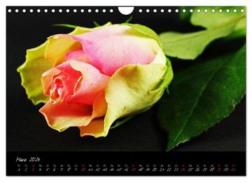 CALVENDO Wandkalender Flower (Wandkalender 2024 DIN A4 quer), CALVENDO Monatskalender