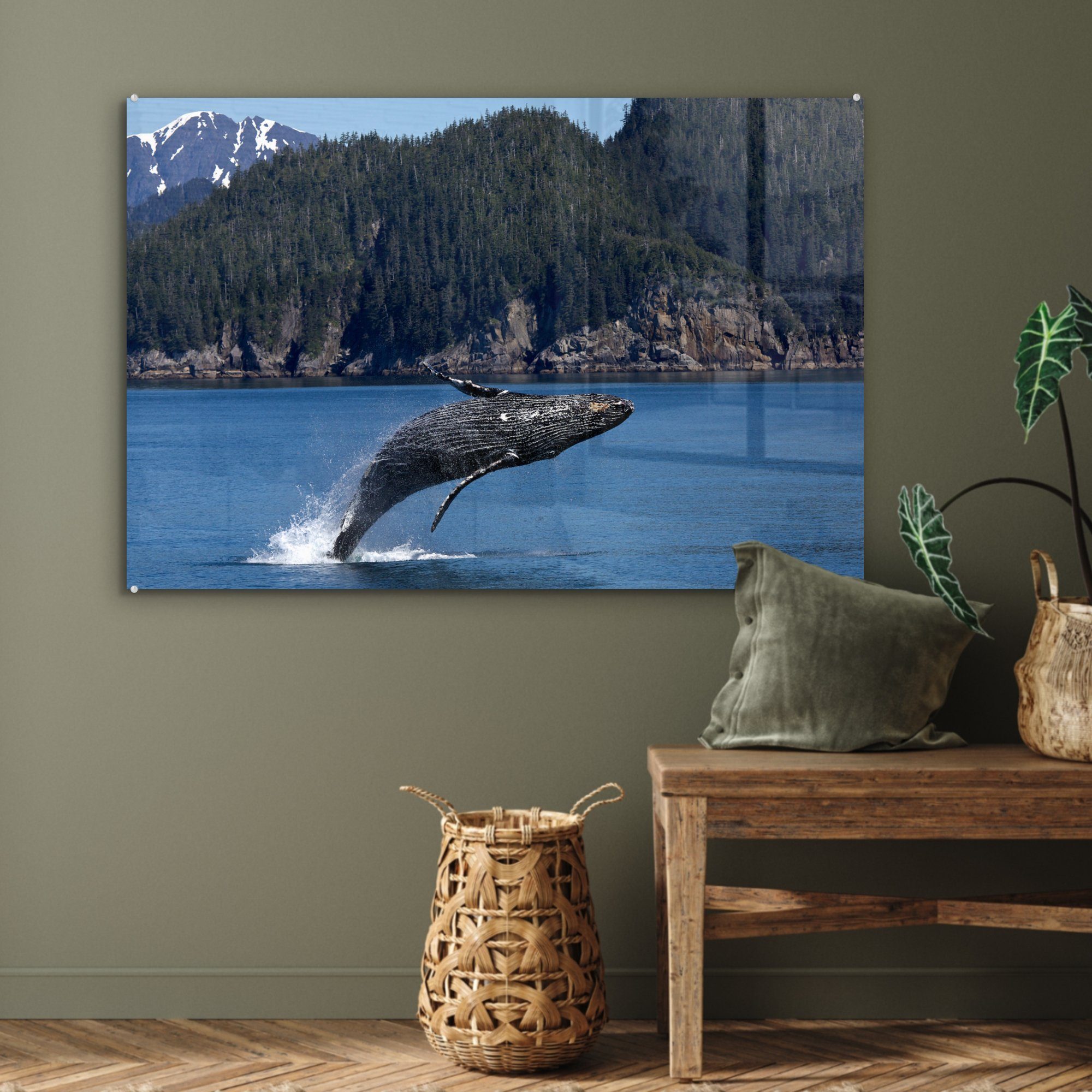 (1 Acrylglasbild MuchoWow Nordamerika Wale, & Meer Wohnzimmer - - Schlafzimmer St), Acrylglasbilder