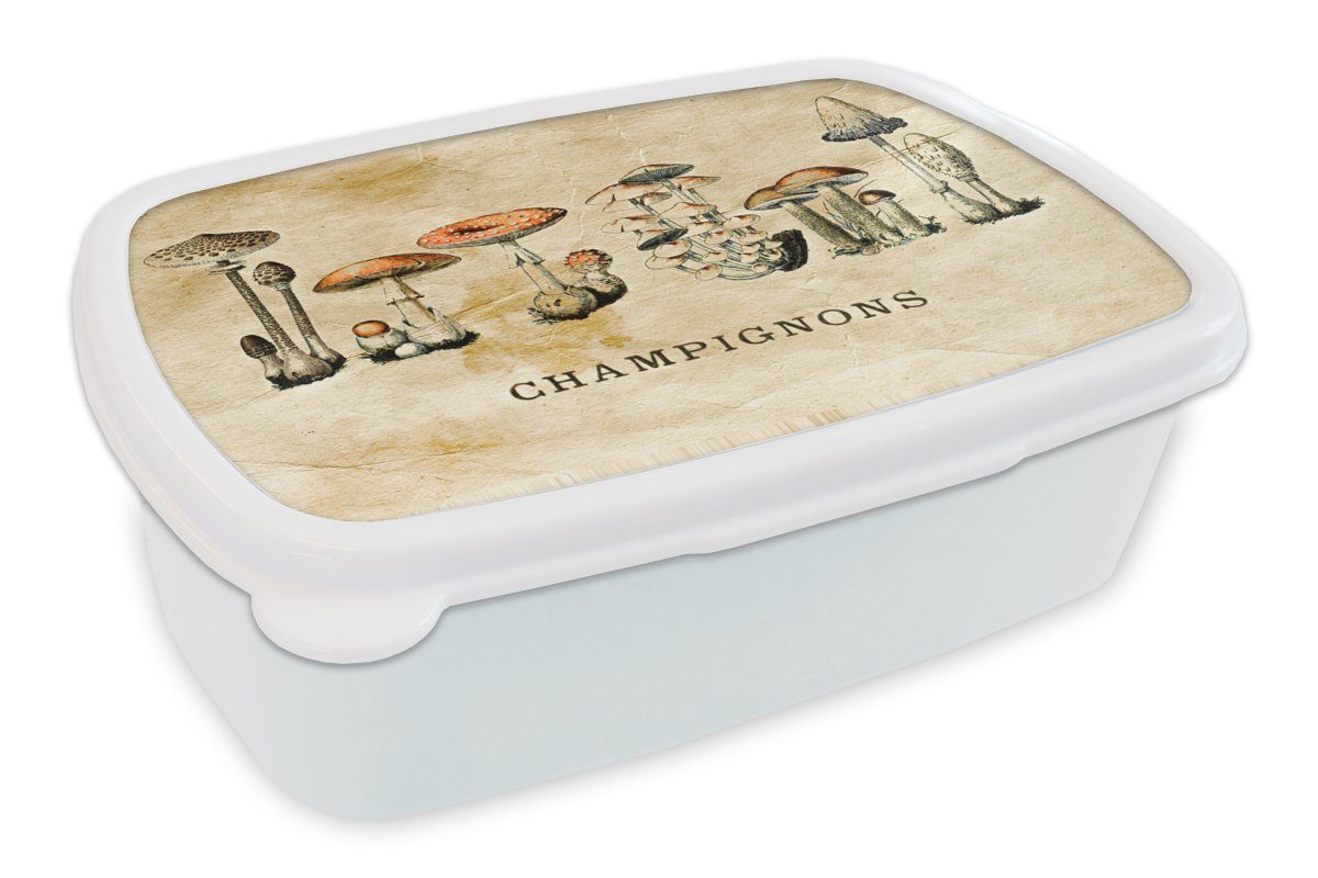 MuchoWow Lunchbox Pilz - Herbst Erwachsene, Kunststoff, Brotbox Vintage, Kinder Jungs für Mädchen weiß (2-tlg), - und Brotdose, und für