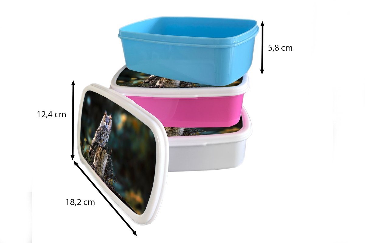 Lunchbox (2-tlg), MuchoWow rosa Vogel Brotbox Herbst Brotdose Kunststoff - Äste, - Kinder, Eule Kunststoff, Erwachsene, - Snackbox, Mädchen, für
