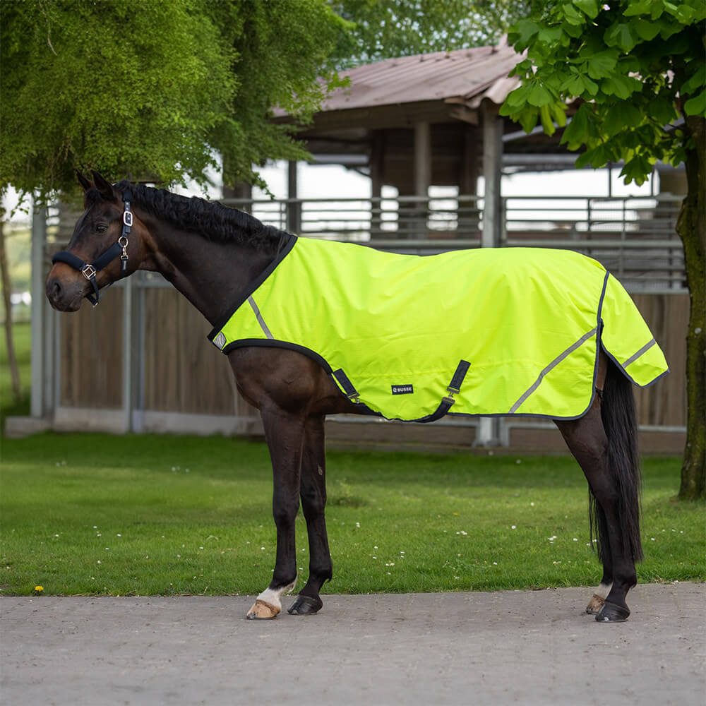 BUSSE Ausreitdecke Busse Bewegungsdecke SHINE 50
