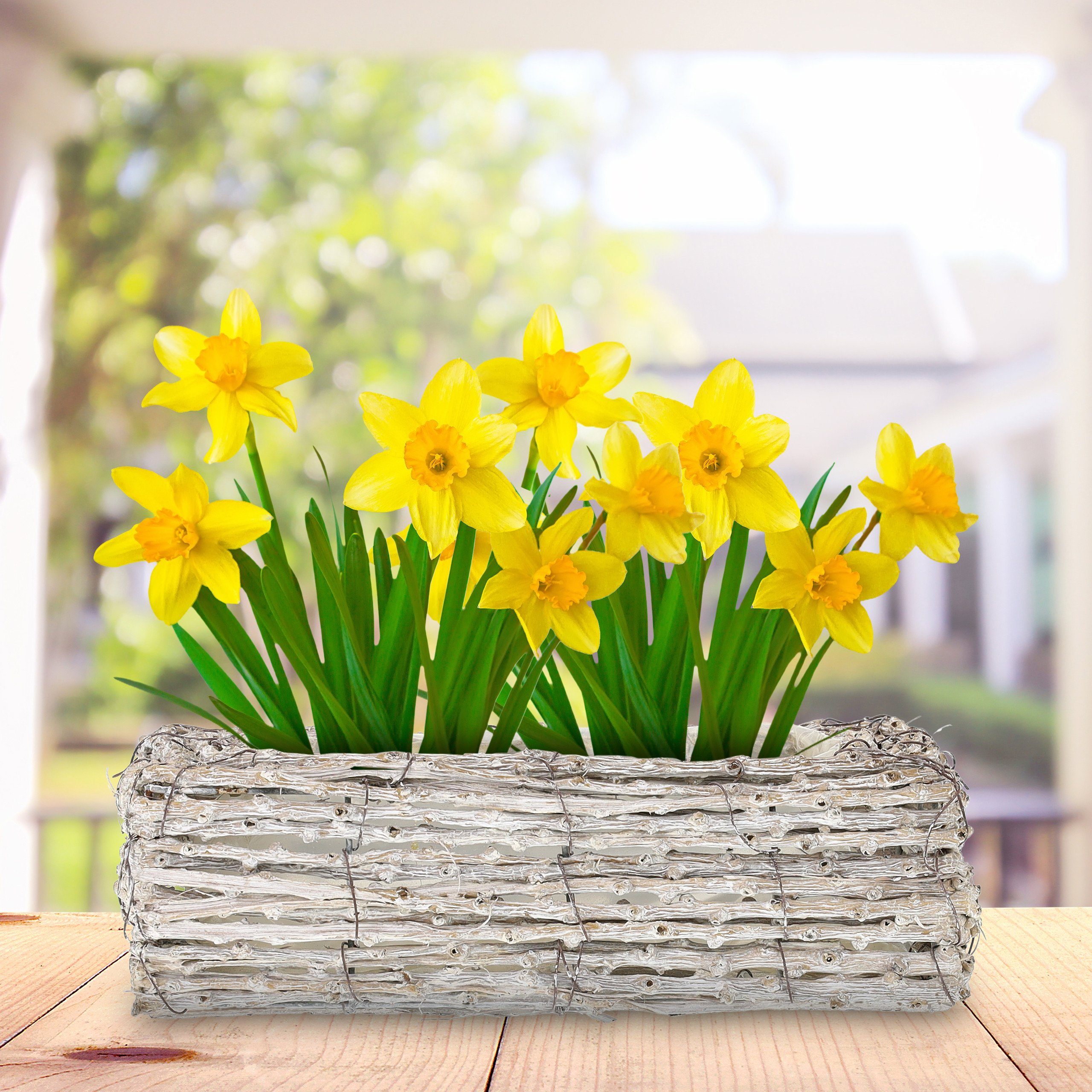 relaxdays Blumentopf Eckiger Blumentopf im 2er günstig online kaufen