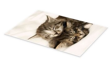 Posterlounge Poster Greg Cuddiford, Zwei schlafende Kätzchen, Kindermotive