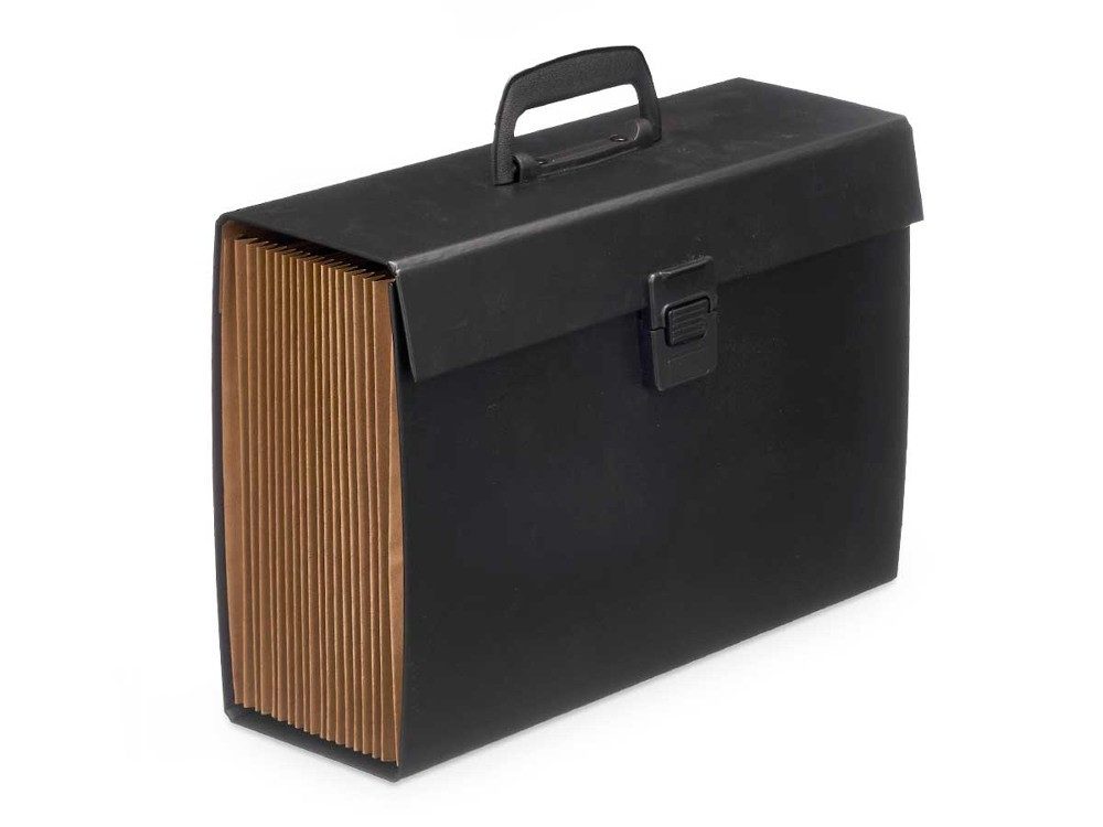 emeco Fächermappe Aktenordner Aktentasche Ablagefächer Dokumentenmappe A4 F günstig online kaufen