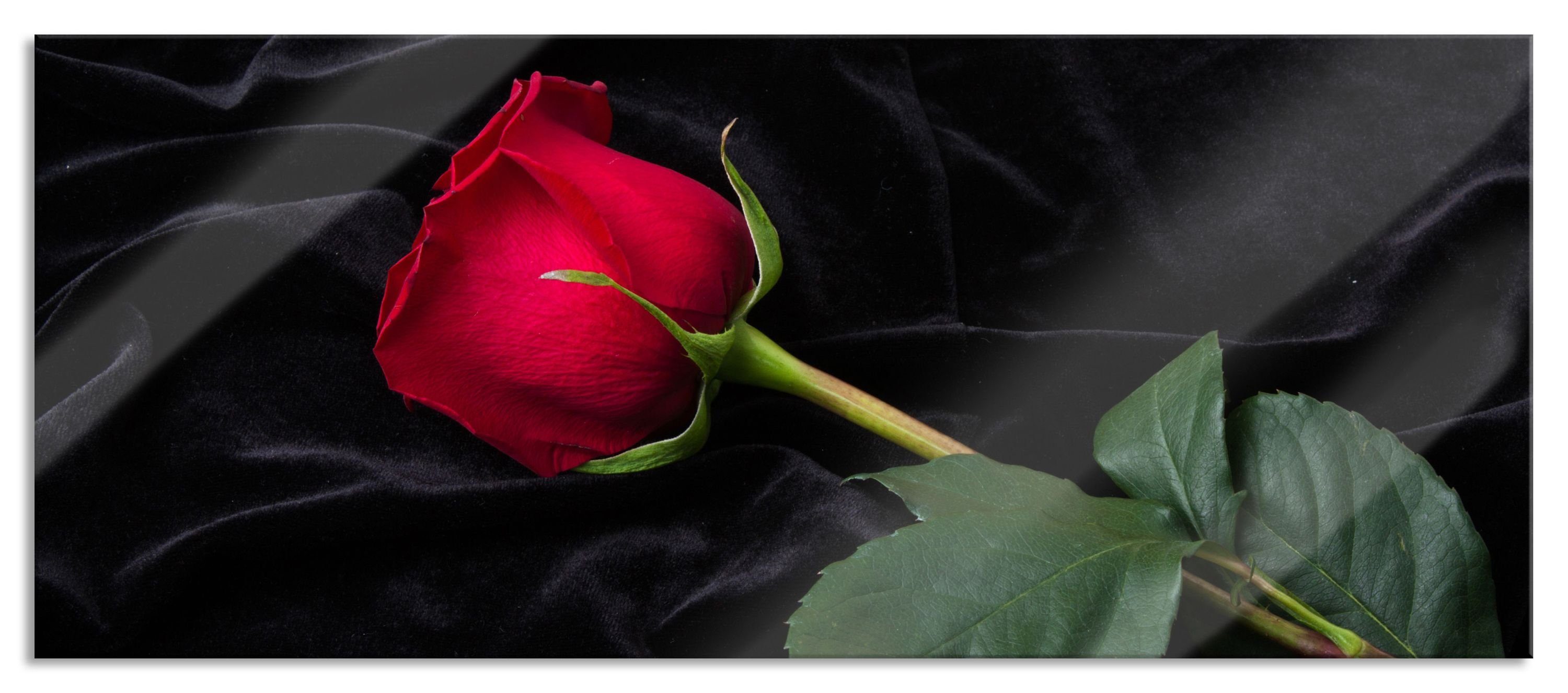 Glasbild Rose