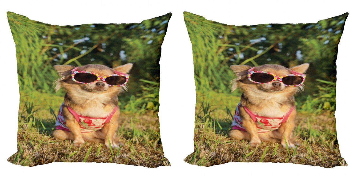 Kissenbezüge Modern Accent Doppelseitiger Digitaldruck, Abakuhaus (2 Stück), Chihuahua Hund mit Riemchen Top