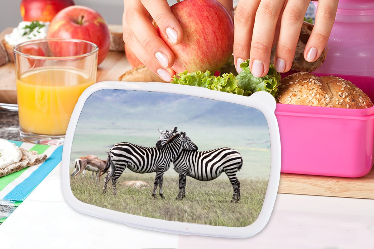 Mädchen, Kinder, Kunststoff, Schwarz Zebras Brotbox - Erwachsene, MuchoWow (2-tlg), für Kunststoff Lunchbox Gras rosa - Brotdose Snackbox, Weiß, -