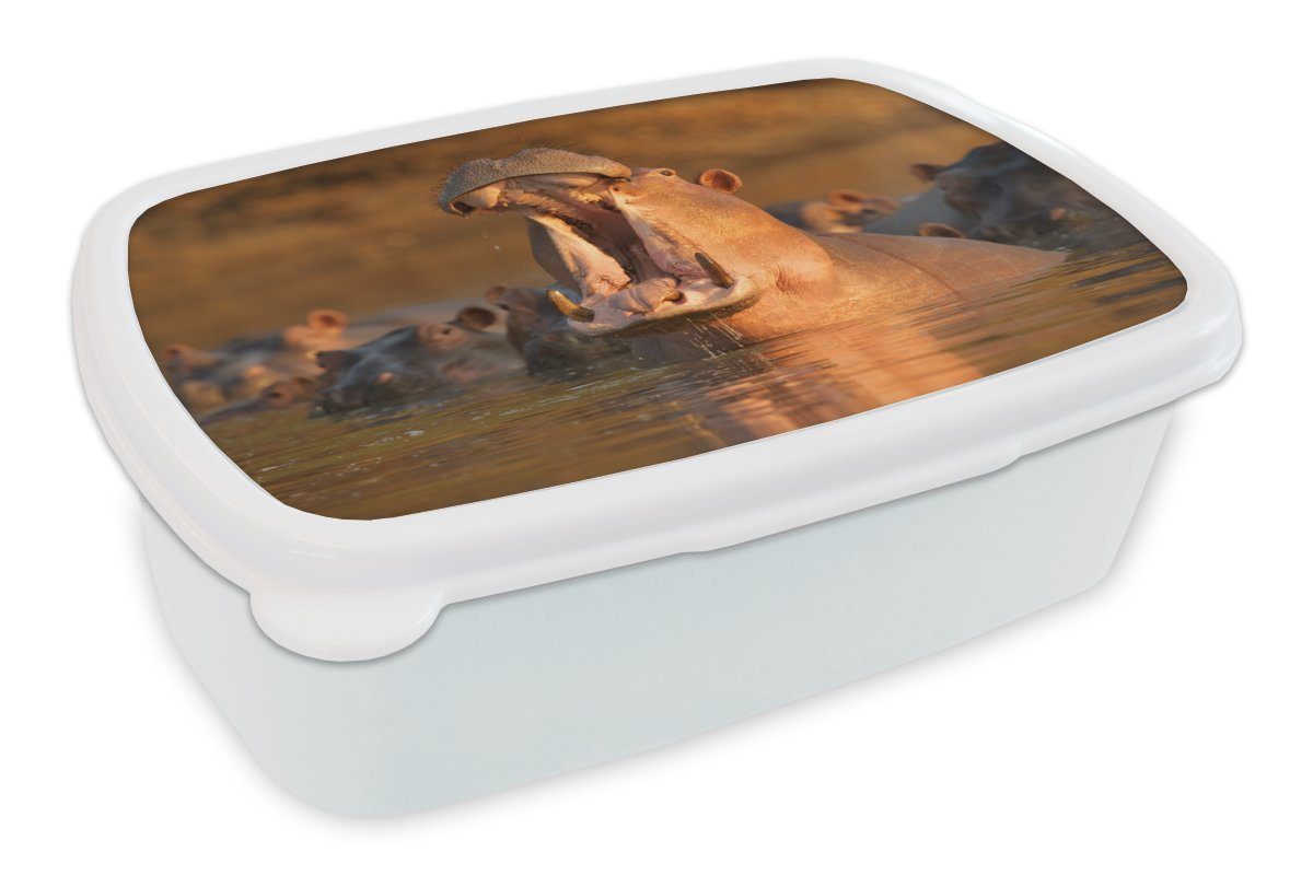 MuchoWow Lunchbox Nilpferde - Wasser, Kunststoff, (2-tlg), Brotbox für Kinder und Erwachsene, Brotdose, für Jungs und Mädchen weiß