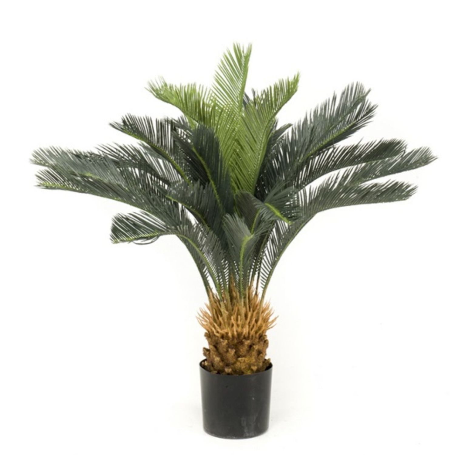 Künstliche Zimmerpflanze Topfpflanze Palme, Emerald, Höhe 90 cm, Farbe: Grün
