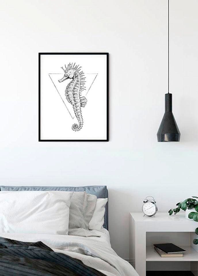 Tiere Kinderzimmer, Schlafzimmer, Poster (1 St), Komar Wohnzimmer White, Sea Horse