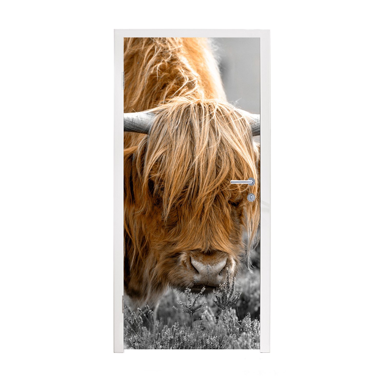 MuchoWow Türtapete Scottish Highlander - Pflanzen - Schwarz - Weiß, Matt, bedruckt, (1 St), Fototapete für Tür, Türaufkleber, 75x205 cm