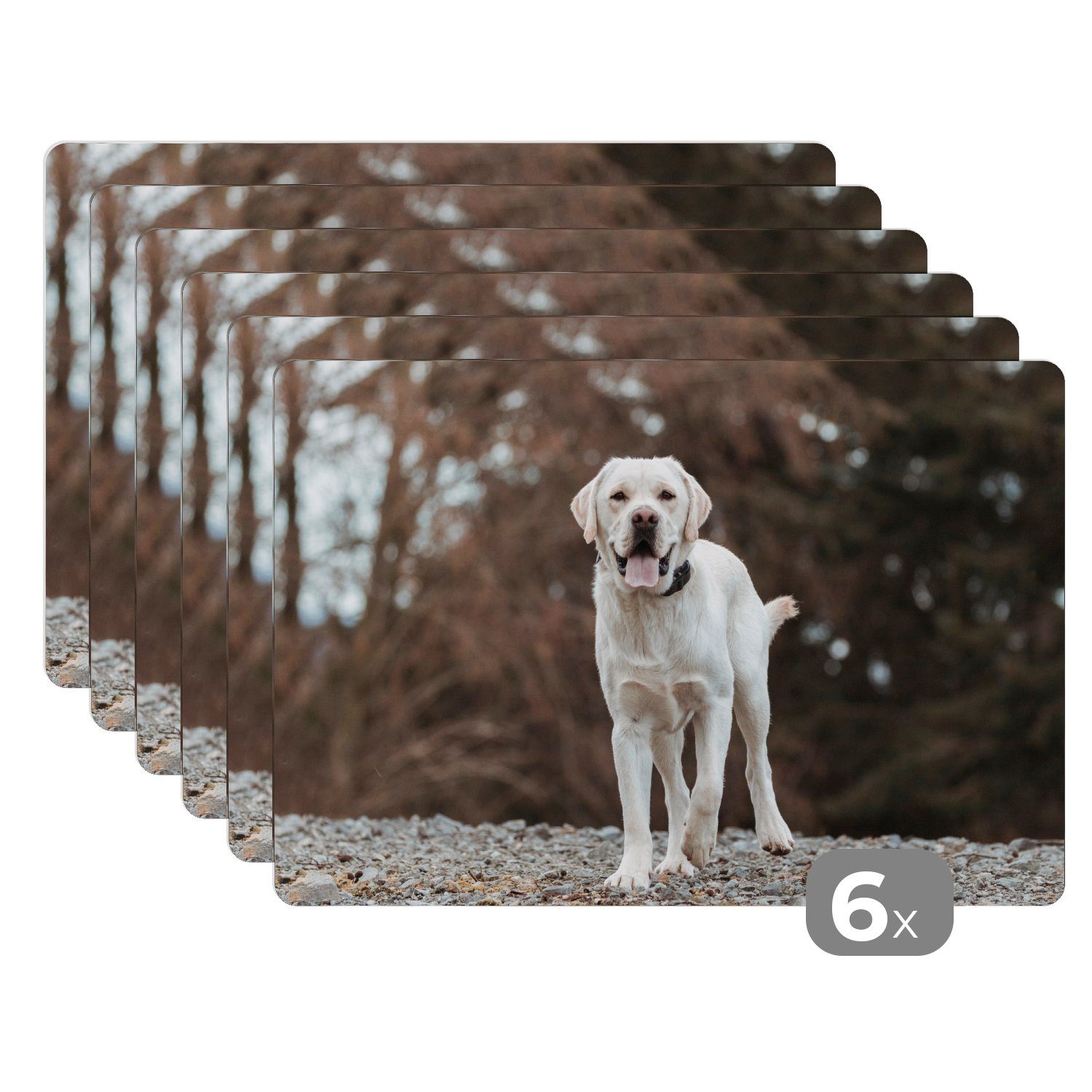 Platzset, Ein weißer Labrador Retriever auf den Steinen, MuchoWow, (6-St), Platzset, Platzdecken, Platzmatte, Tischmatten, Schmutzabweisend