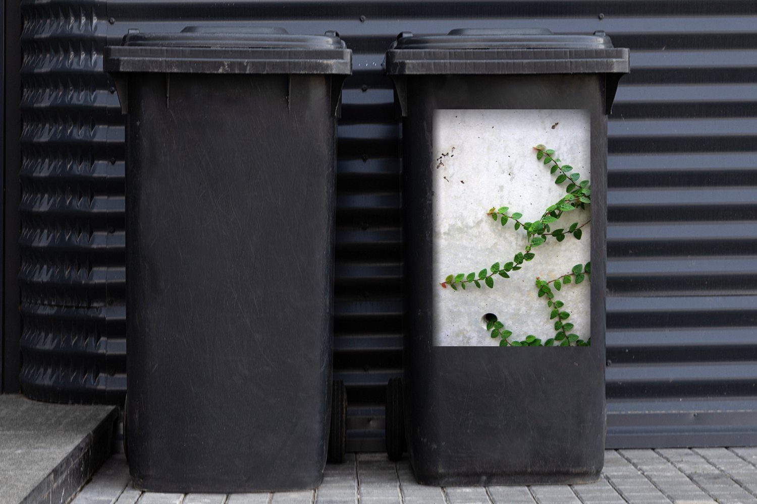 einer St), Kletterpflanzen MuchoWow Abfalbehälter an Mülleimer-aufkleber, Mülltonne, Wandsticker (1 Sticker, Betonwand Container,
