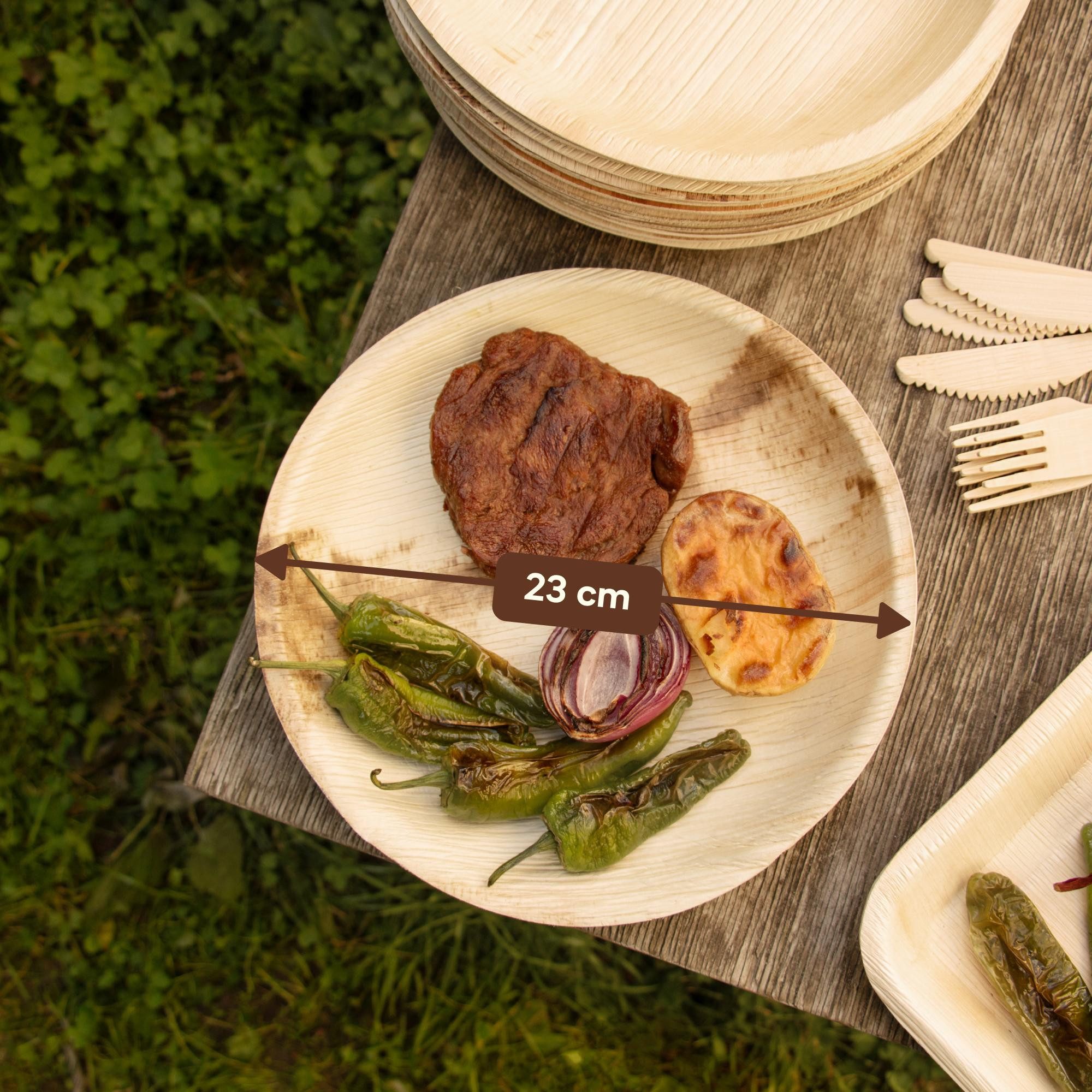 wisefood Einwegteller Palmblatt-Teller, rund, Ø 23 x 2,5 cm, (25 St)