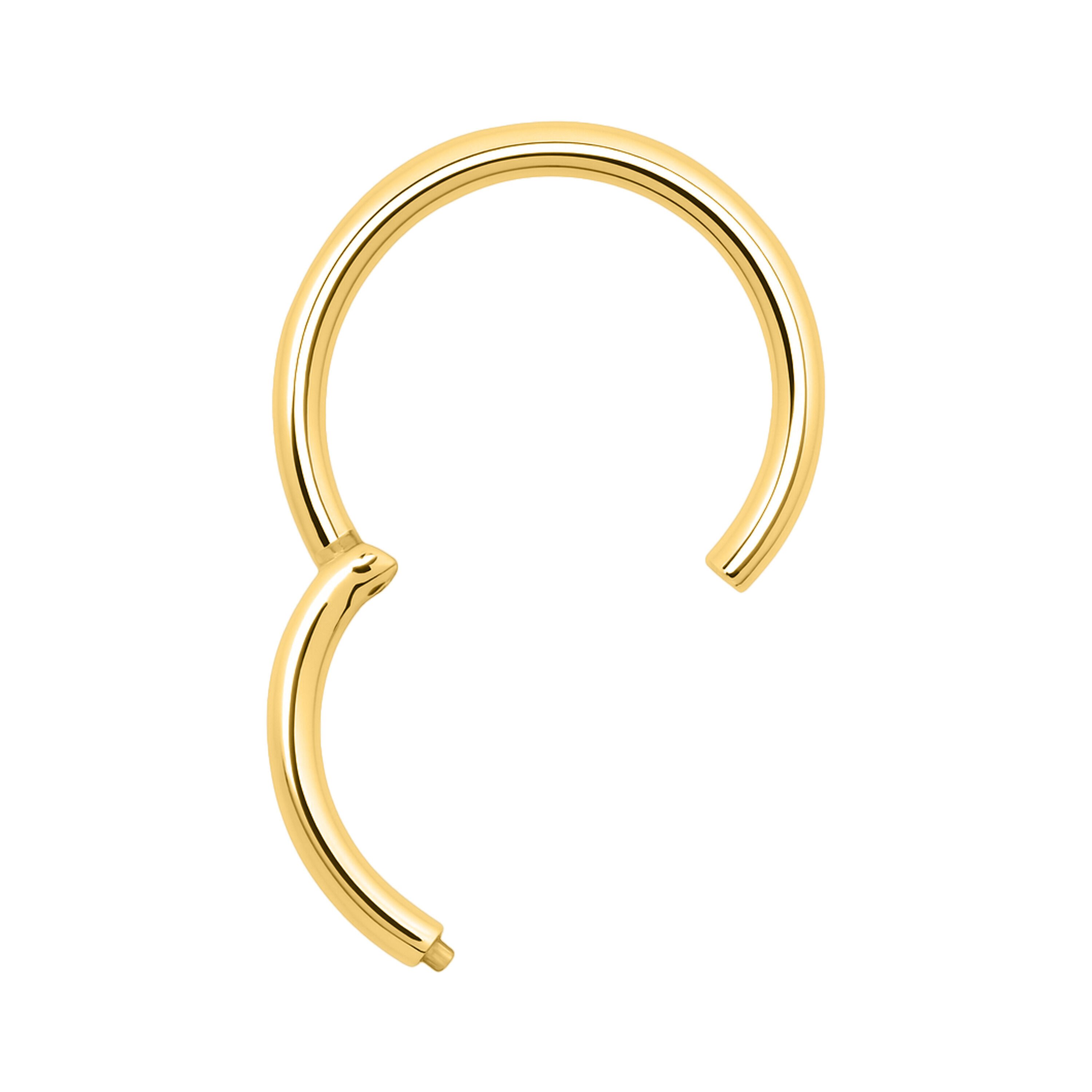 Wildcat Nasenpiercing Hinged Segmentringfür Ohr, Lippe, Nase, Bauchnabel, 1 günstig online kaufen