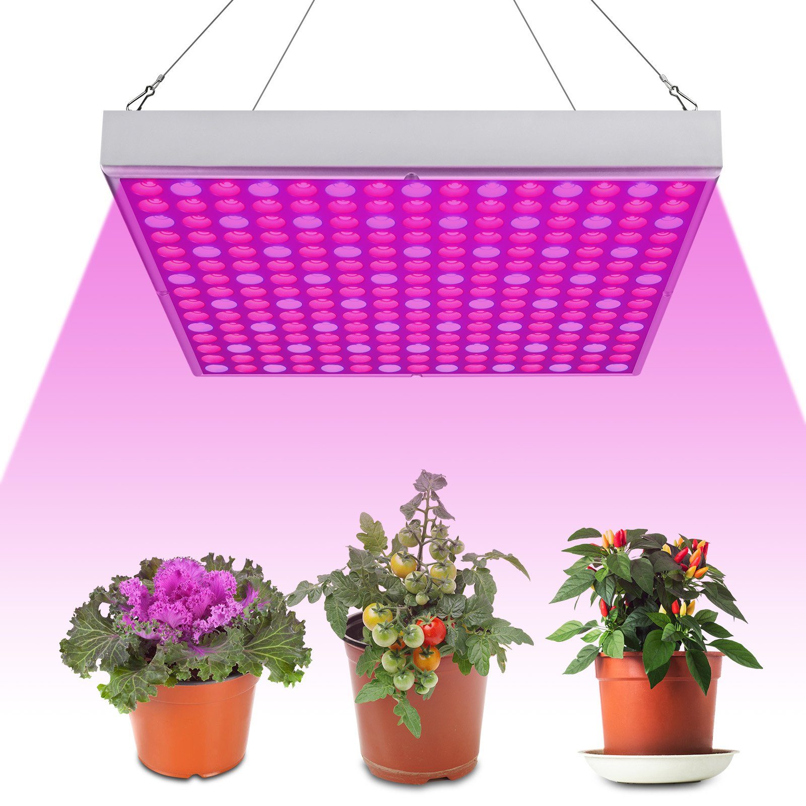 Lospitch Pflanzenlampe 15/45W LED Grow Lampe mit Rot Blau Licht, Zimmerpflanzen, Gemüse und Blumen