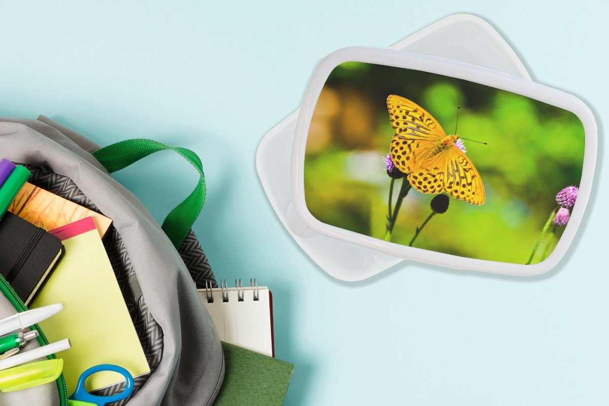 Mädchen Brotdose, Schmetterling Kunststoff, Tiger (2-tlg), - MuchoWow Jungs und - und Kinder Lunchbox Blume, für Erwachsene, Brotbox weiß für