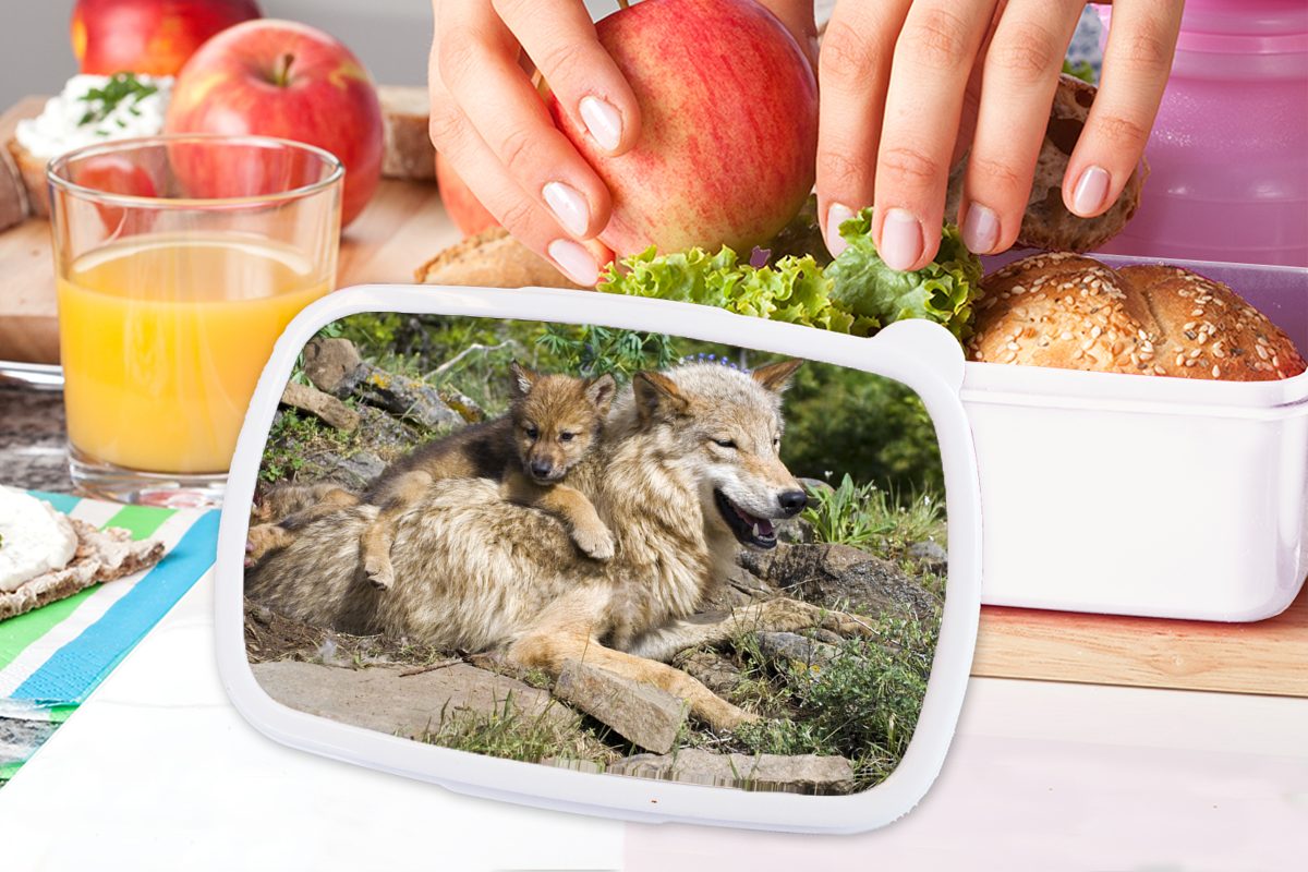 MuchoWow Lunchbox Wolf - Tier, Brotdose, - Erwachsene, für (2-tlg), weiß Mädchen und für Kunststoff, Brotbox Kinder und Jungtier Jungs