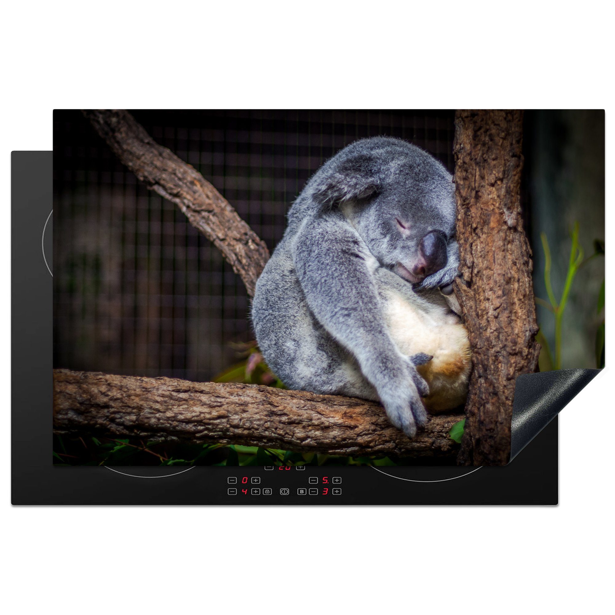 MuchoWow Herdblende-/Abdeckplatte Australien - Koala - Bumm, Vinyl, (1 tlg), 81x52 cm, Induktionskochfeld Schutz für die küche, Ceranfeldabdeckung