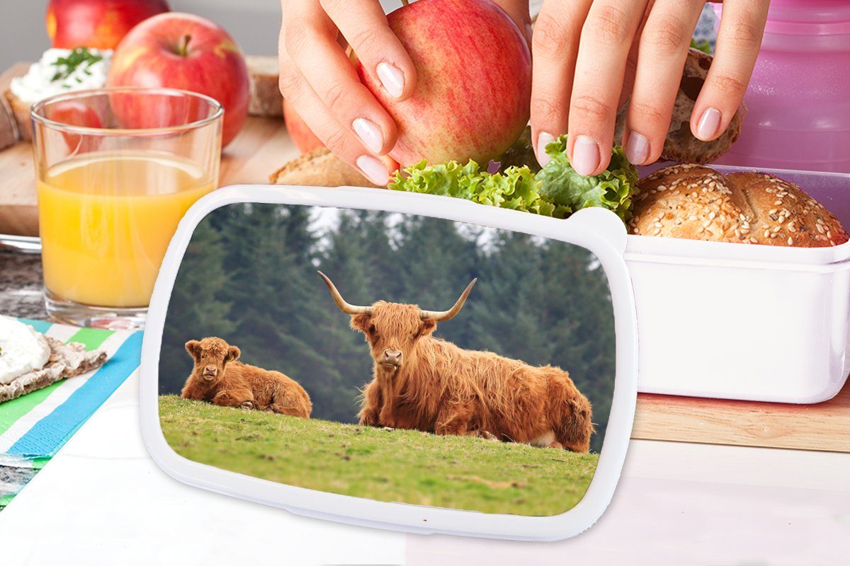 Lunchbox für - Kunststoff, und Jungs (2-tlg), und Gras für Brotdose, - Highlander weiß Kinder Brotbox Erwachsene, Wald, Schottische Mädchen MuchoWow