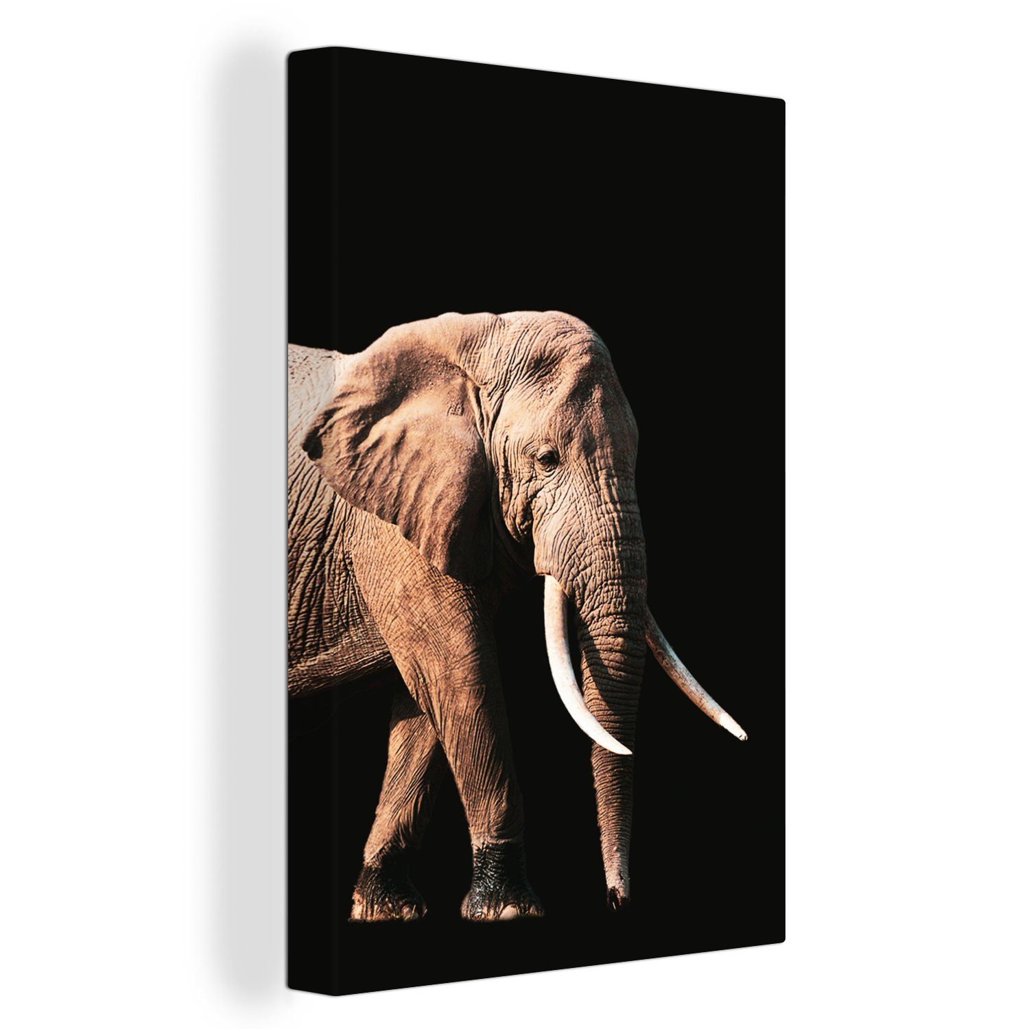 OneMillionCanvasses® Leinwandbild Elefant - Schwarz - Grau, (1 St), Leinwandbild fertig bespannt inkl. Zackenaufhänger, Gemälde, 20x30 cm