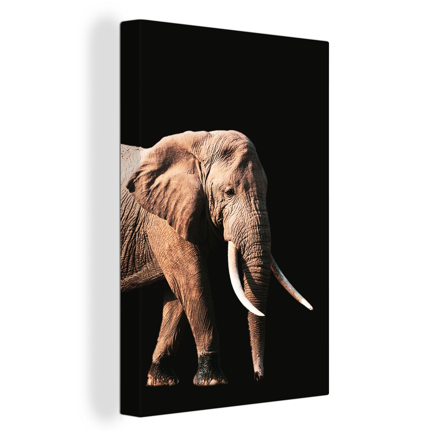 OneMillionCanvasses® Leinwandbild Elefant - Schwarz - Grau, Fotodruck (1 St), Leinwand Canvas Wandbild, Wanddekoration 20x30 cm
