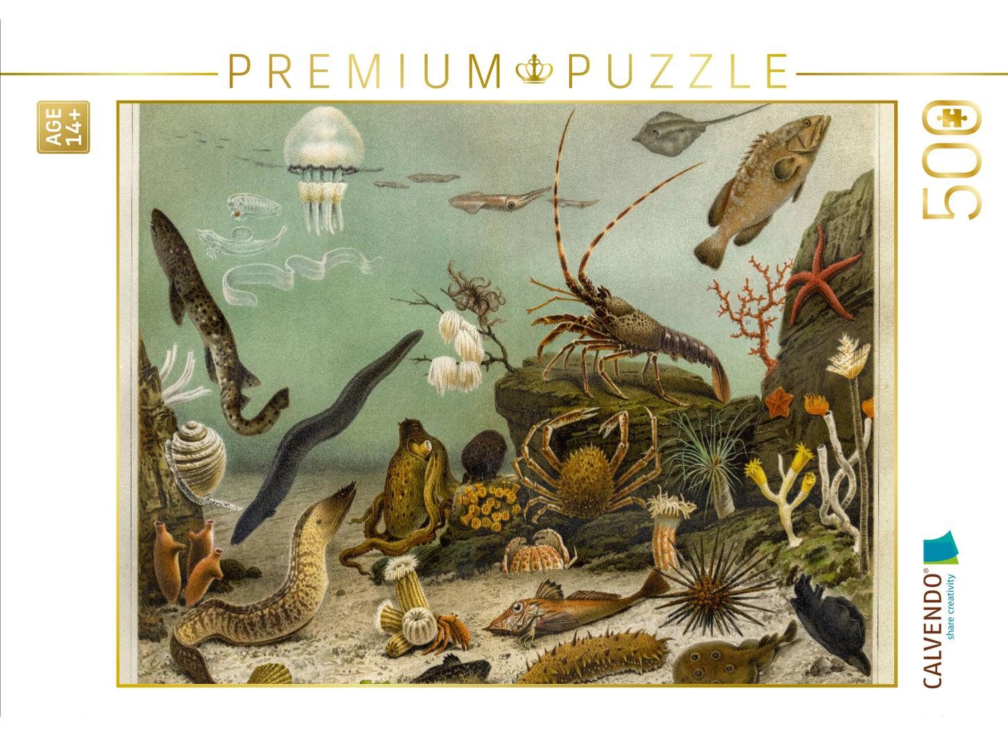 CALVENDO Puzzle CALVENDO Puzzle Seewasser-Aquarium, Künstler: Adolf Giltsch (1852-1911, 1000 Puzzleteile