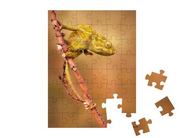 puzzleYOU Puzzle Gewöhnliches Chamäleon (Chamaeleo chamaeleon), 48 Puzzleteile, puzzleYOU-Kollektionen Chamäleons, Tiere in Dschungel & Regenwald