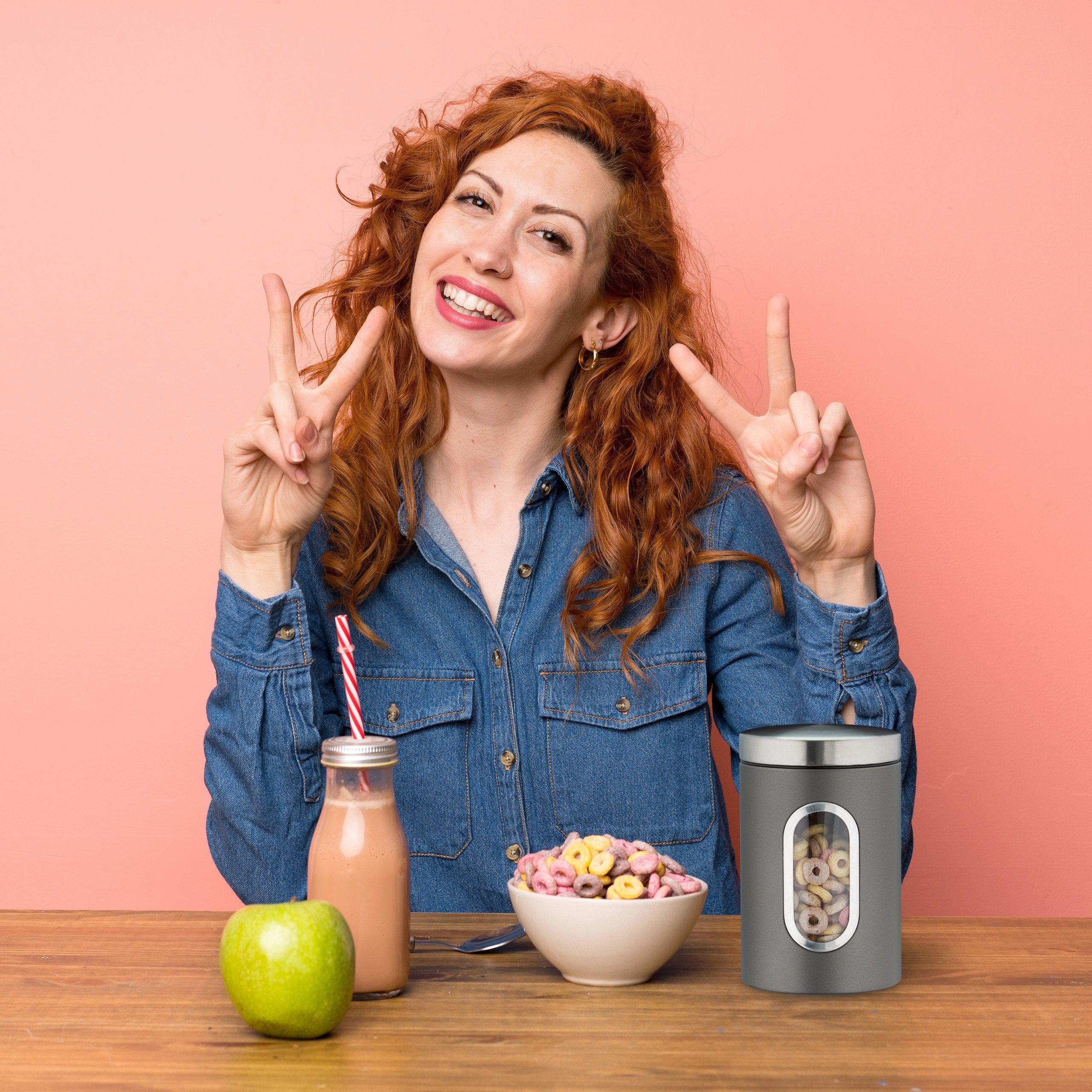 relaxdays Vorratsdose 4x Vorratsdose mit Sichtfenster grau, Eisen