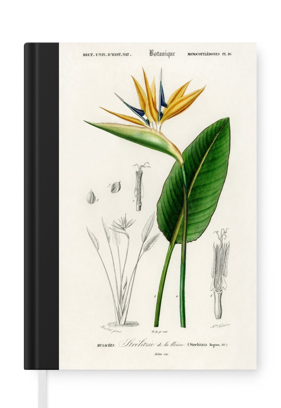 MuchoWow Notizbuch Pflanze - Vintage - Blatt, Journal, Merkzettel, Tagebuch, Notizheft, A5, 98 Seiten, Haushaltsbuch | Notizbücher