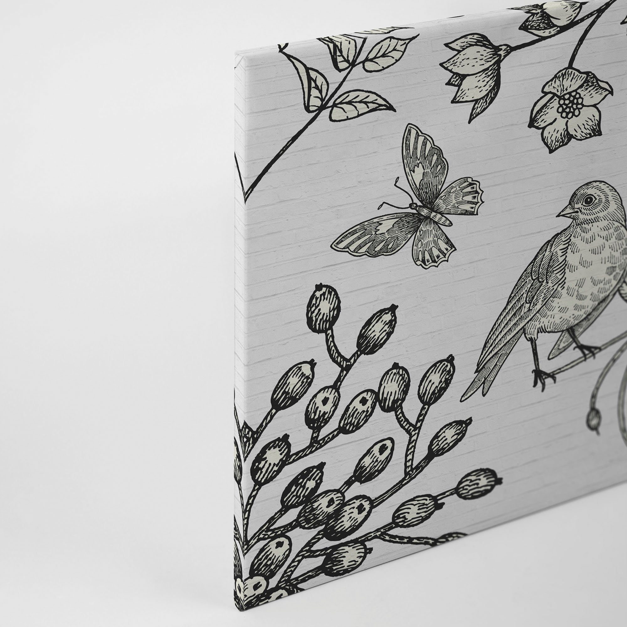 Schwarz-Weiß birdy, weiß, A.S. St), schwarz Leinwandbild Création Floral Keilrahmen Zeichnung (1 Bild