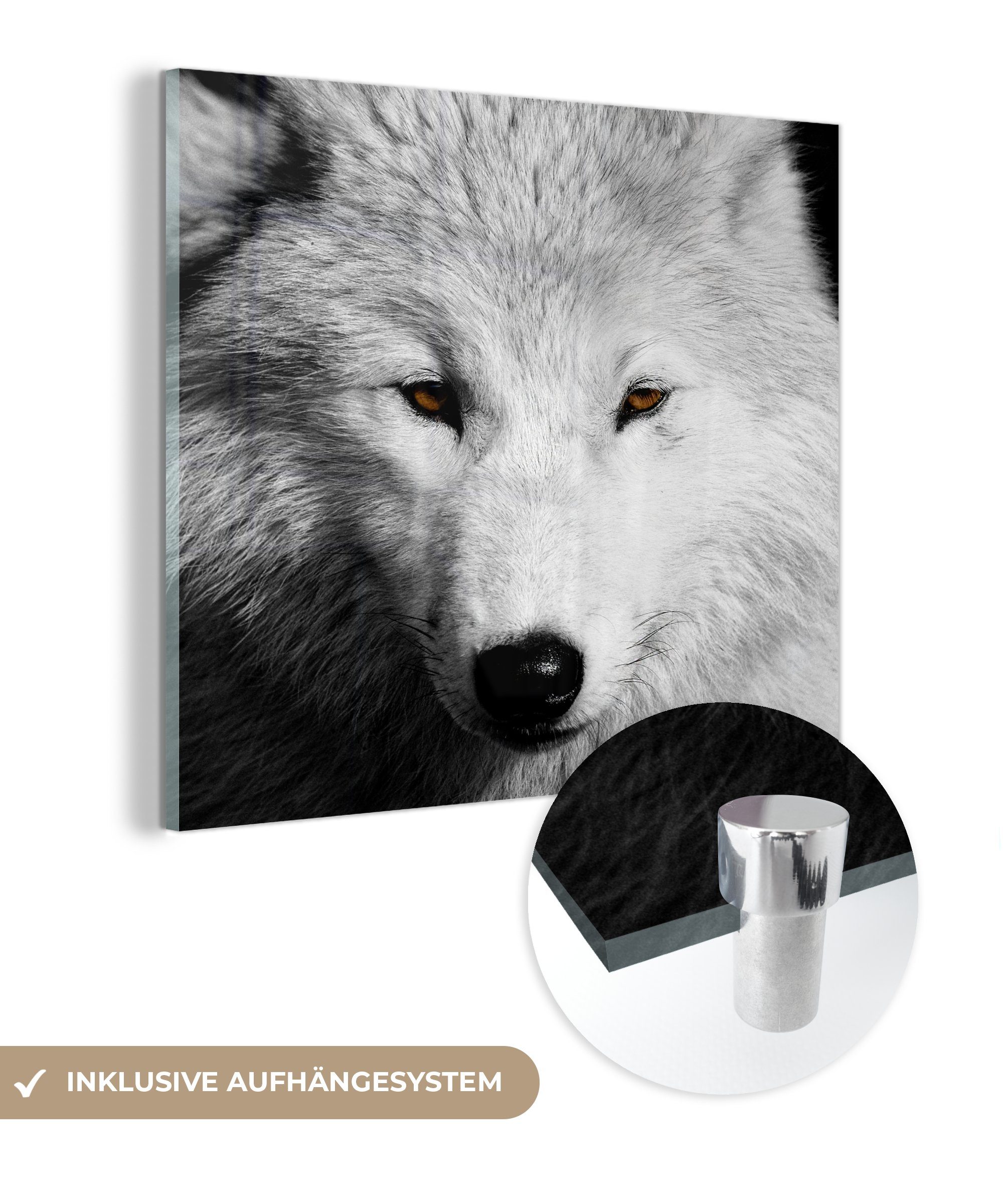 MuchoWow Acrylglasbild In der Nähe Ansicht Wolf in Schwarz und Weiß, (1 St), Glasbilder - Bilder auf Glas Wandbild - Foto auf Glas - Wanddekoration | Bilder