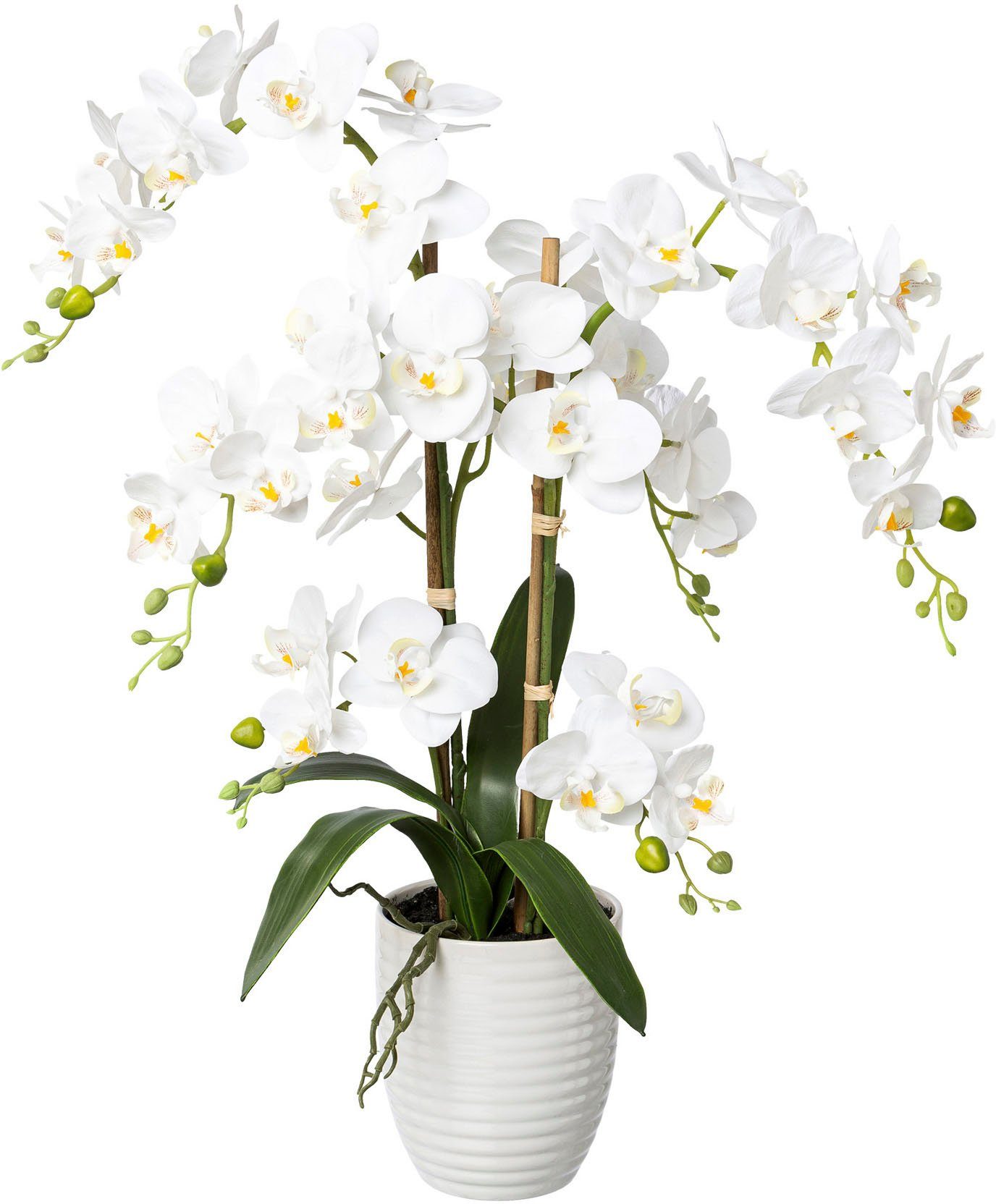 Kunstorchidee Deko-Orchidee Phalaenopsis im Keramiktopf Orchidee günstig online kaufen